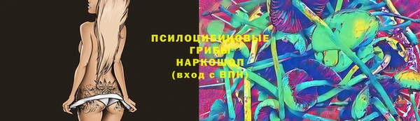 таблы Дмитровск