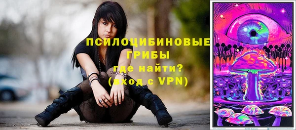 jwh Гусев