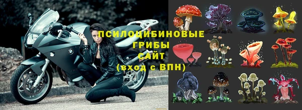 jwh Гусев
